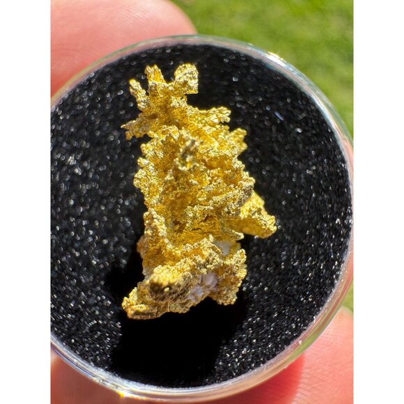 California Gold Crystal - 1.74 grams - Picture 8 of 11